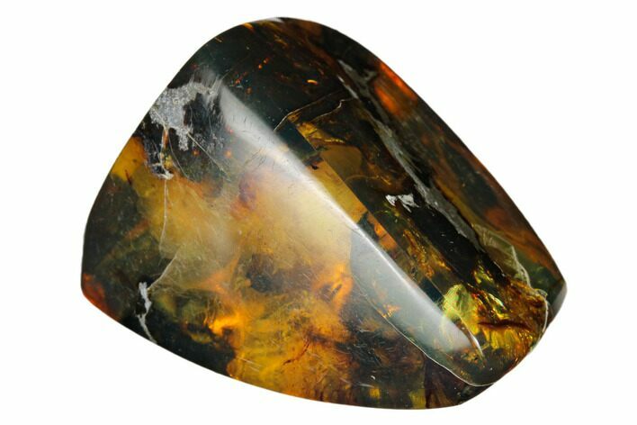 1.4" Polished Chiapas Amber (13 grams) - Mexico